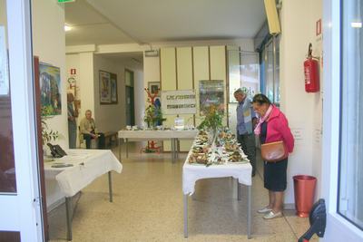 Foto ricordo della Sagra di Carpenedo 2011