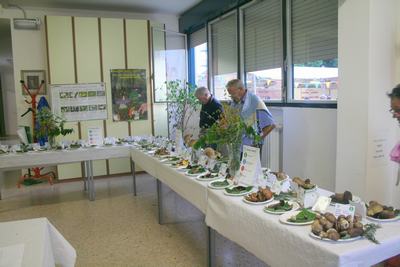Foto ricordo della Sagra di Carpenedo 2011